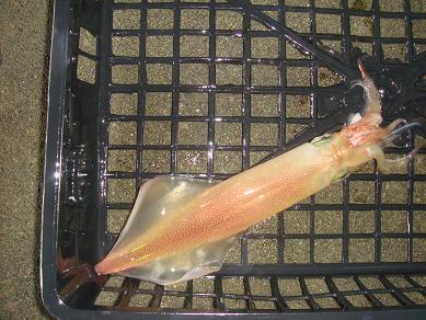 080807B2.JPG