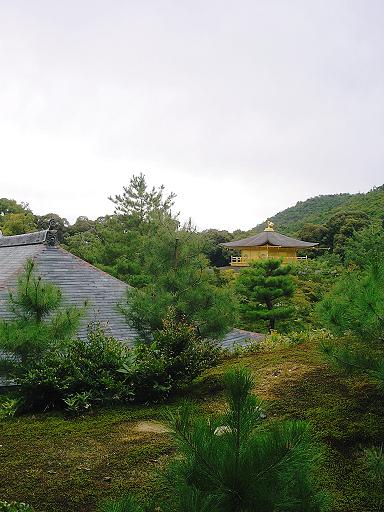 金閣寺（後ろから）.JPG