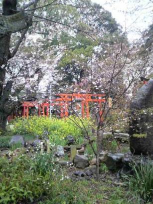 平野神社