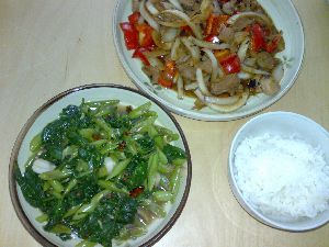 ほうれん草の炒め物と、羊の炒め物