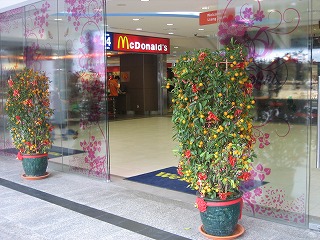 090204200902 049.jpg