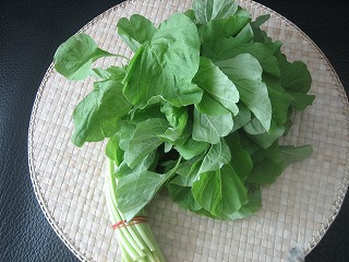 この野菜は？.jpg