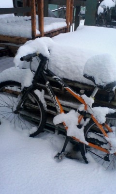 化石自転車