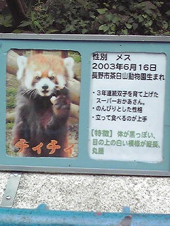 090720_1211~02.jpg
