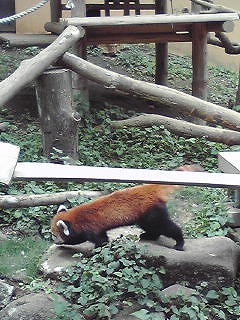090720_1211~01.jpg