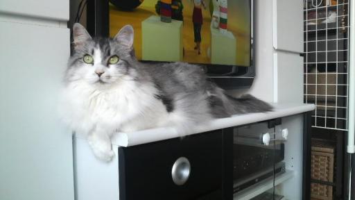 2010051708540000.JPG