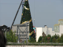 ２００８．１０．１９．海遊館に行く 101.JPG