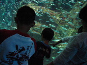 ２００８．１０．１９．海遊館に行く 365.JPG