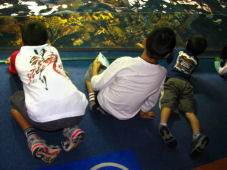 ２００８．１０．１９．海遊館に行く 2450.jpg