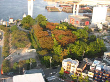 ２００８．１０．１９．海遊館に行く 4200.jpg