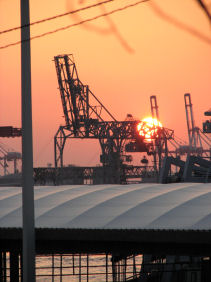 ２００８．１０．１９．海遊館に行く 4370.jpg