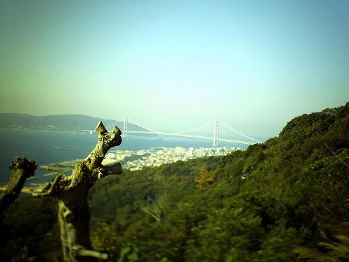 PICT0655.jpg