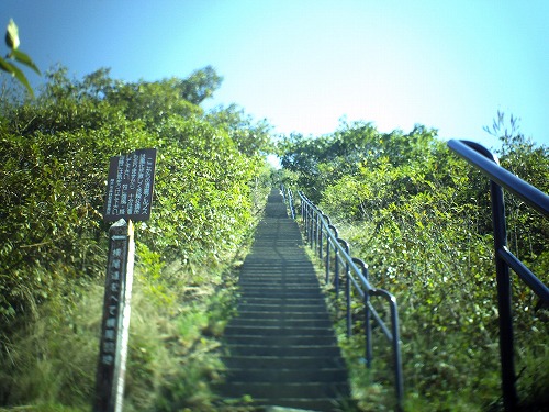PICT0656.jpg