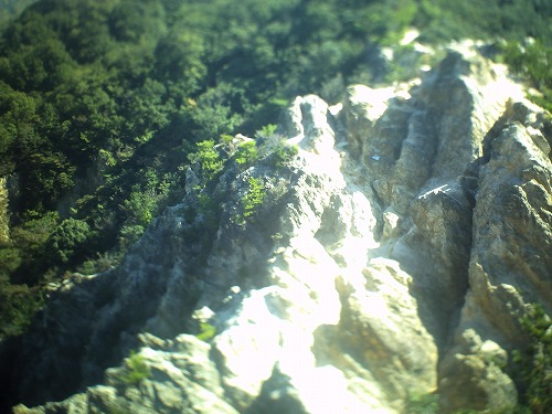 PICT0661.jpg