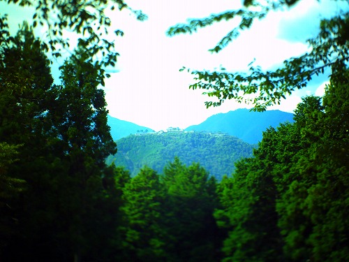 PICT0492.jpg