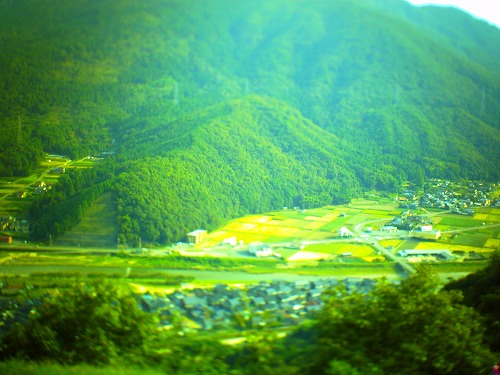 PICT0510.jpg