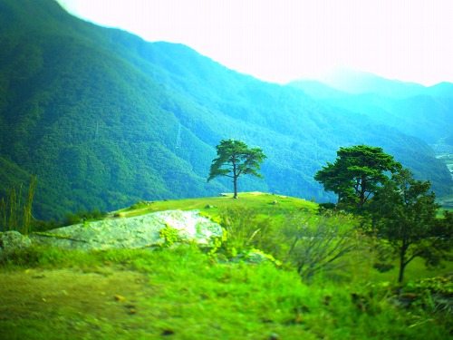 PICT0518.jpg