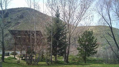 1302806715925.jpg