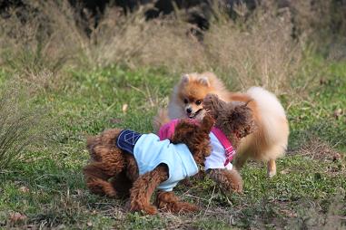 IMG_1235.jpg