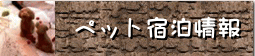 img16ad7687zikfzj.gif