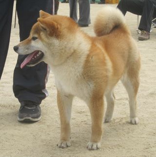 チビ太く～ん、こっち向いて～