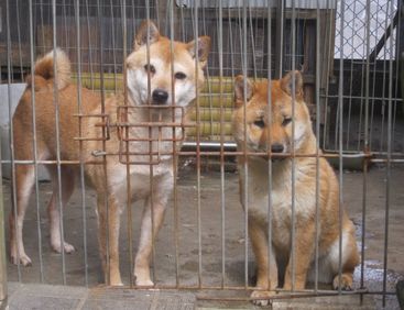 親子で・・・よろしくお願いします