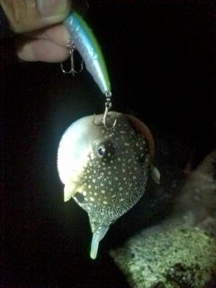 20100410230123.jpg
