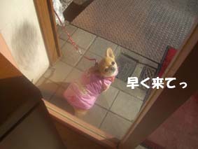 ２　早く来てっ.jpg