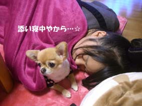添い寝中やから…☆