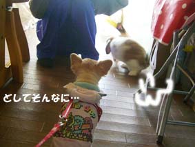 どしてそんなに…