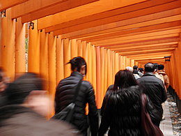 fusimiinari-15