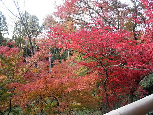 .2011kitanotenjin-20