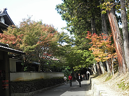toufukuji-1