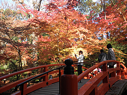 .2011kitanotenjin-17