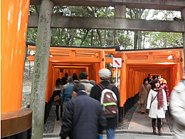 .fusimiinari-14