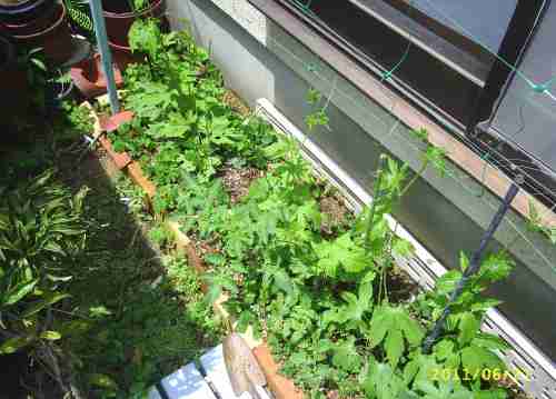 次のターゲットは誰？4