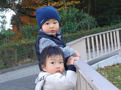 キリンに夢中♪