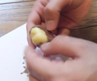 ジャックと豆の木２