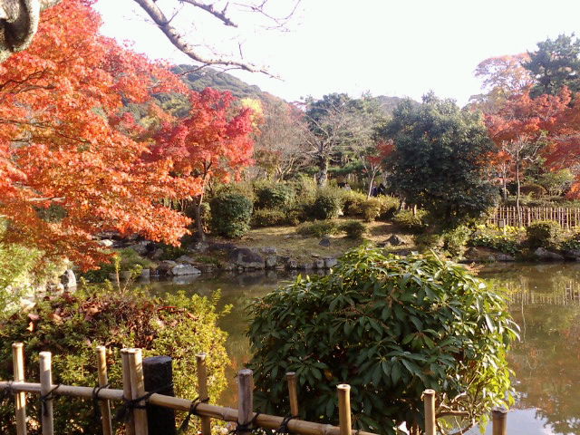 円山公園の紅葉