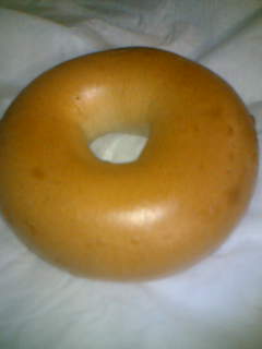 イーストプレーン