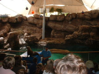 wnder water world 3