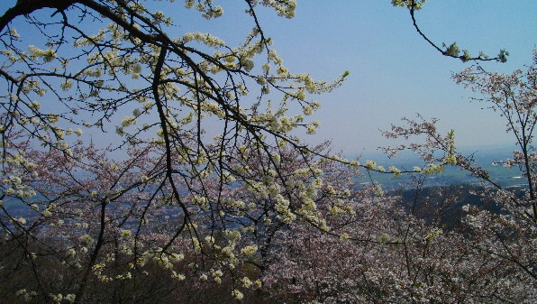 栃木の町を見る