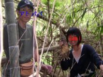 筍・採ったどぉ！