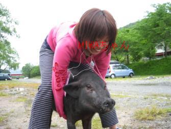 ウーロンちゃん