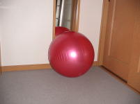 3/30:ジムボール
