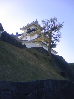 掛川城4