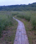 霧多布湿原の木道