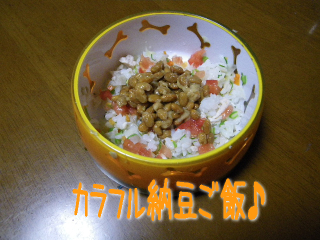 納豆ご飯.jpg