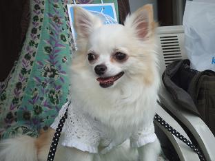 DSCF3834.JPG
