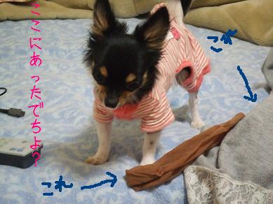 DSCF0472.JPG